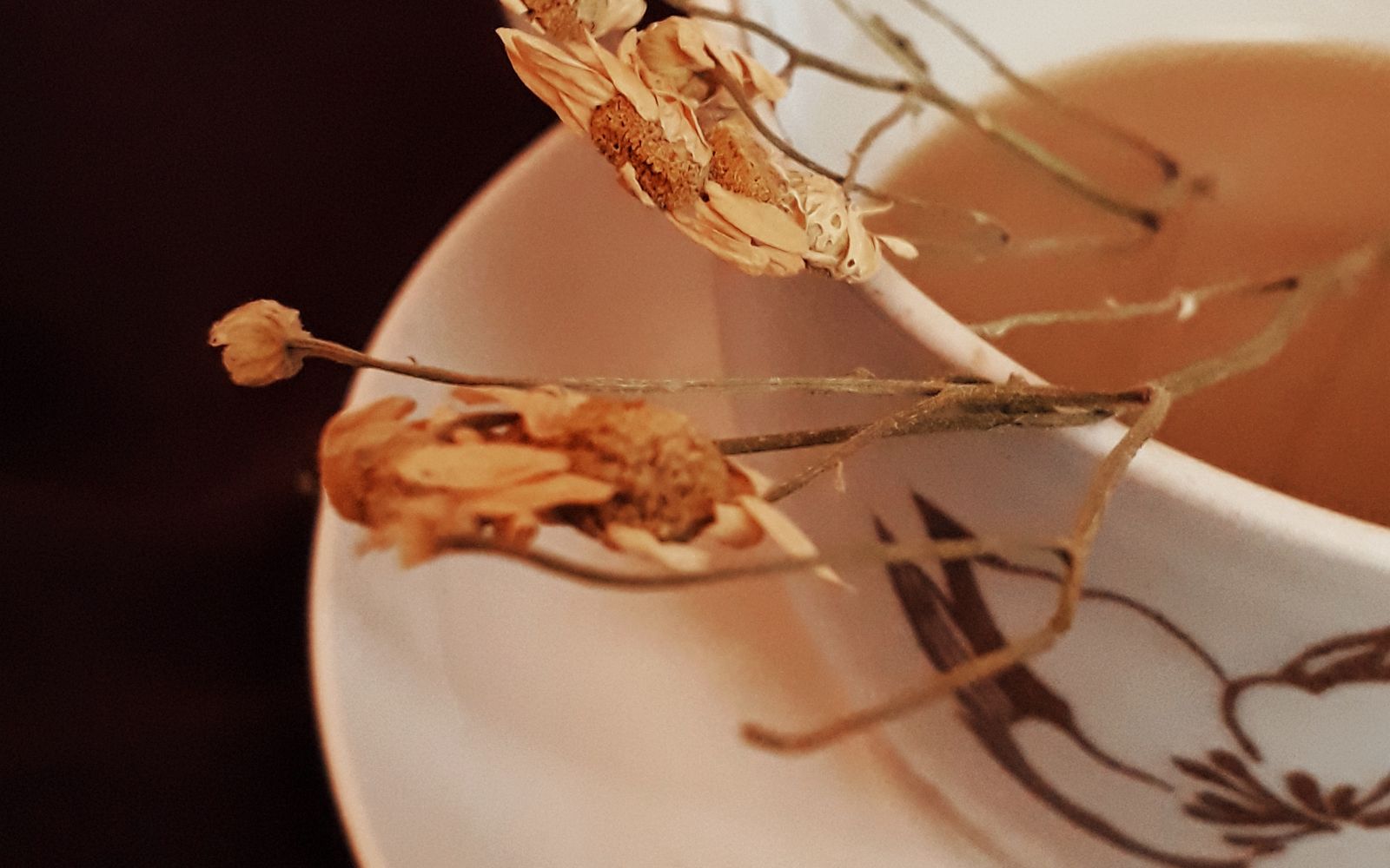Herbal wellness at Mudd Cottage